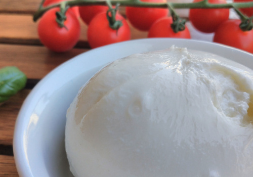 burrata con pomodorini