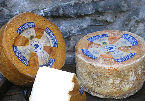 formaggio castelmagno dop