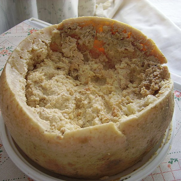 formaggio con i vermi