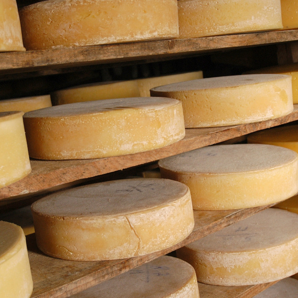 produzione di formaggi