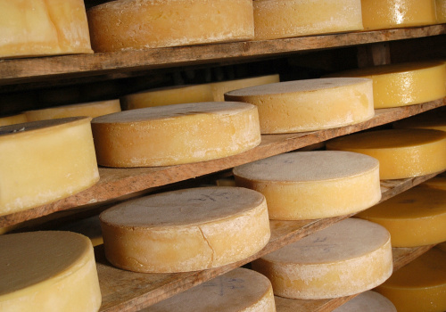 produzione di formaggi