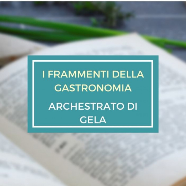 copertina del libro I frammenti della gastronomia