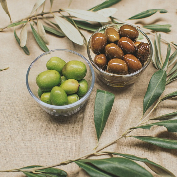 Due varietà di olive con foglia di olivo