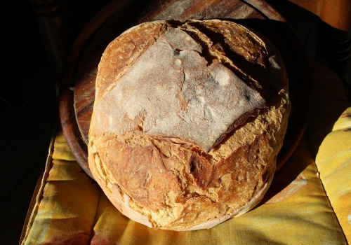 Primo piano di una pagnotta di pane di Altamura