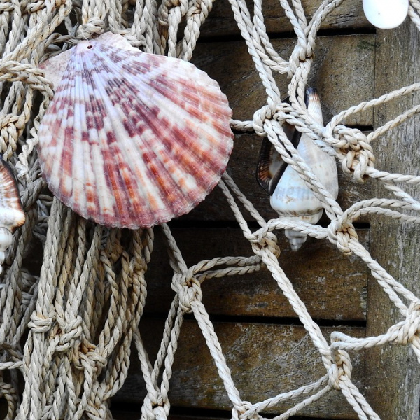 Oggetti della tradizione marinara come rete e conchiglie